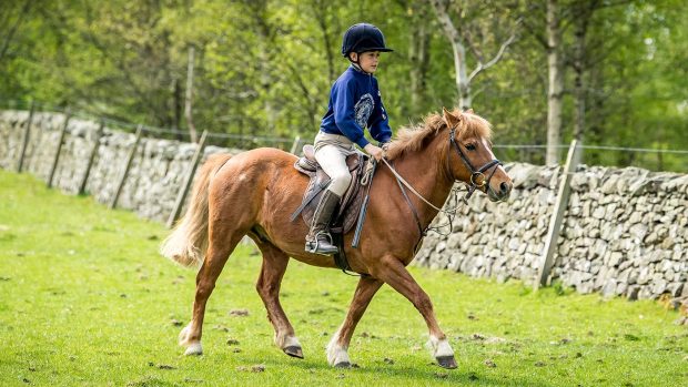 Tessa Waugh May's son Alec riding Rusty