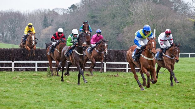 Point-to-point bonus: Watch Devon and Cornwall Point-To-Point livestream action