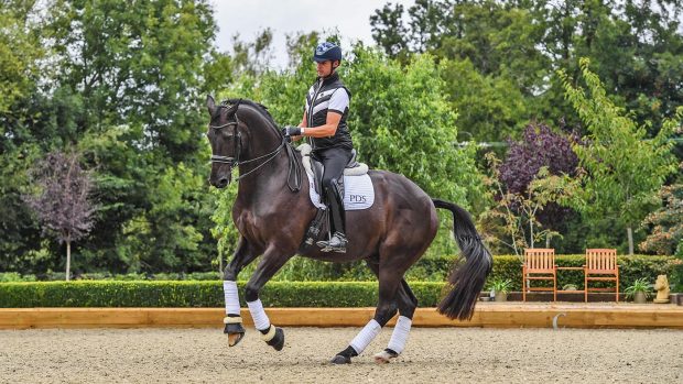 Carl Hester riding En Vogue at Carl Hester yard at Oakelbrook Mill near Malswick in Gloucestershire in the UK on the 3rd September 2020