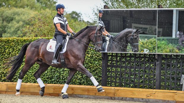 Carl Hester riding En Vogue at home.