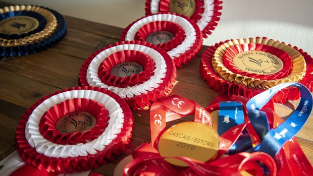 Loss of use insurance is cover for when a horse is unable to continue to do the work he is insured for.