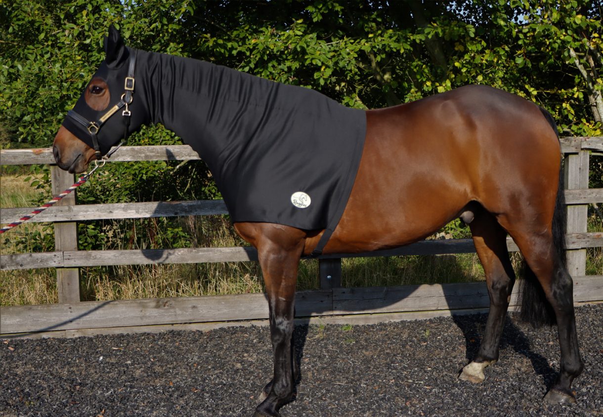 Ruggles Horse Rugs Horse & Hound