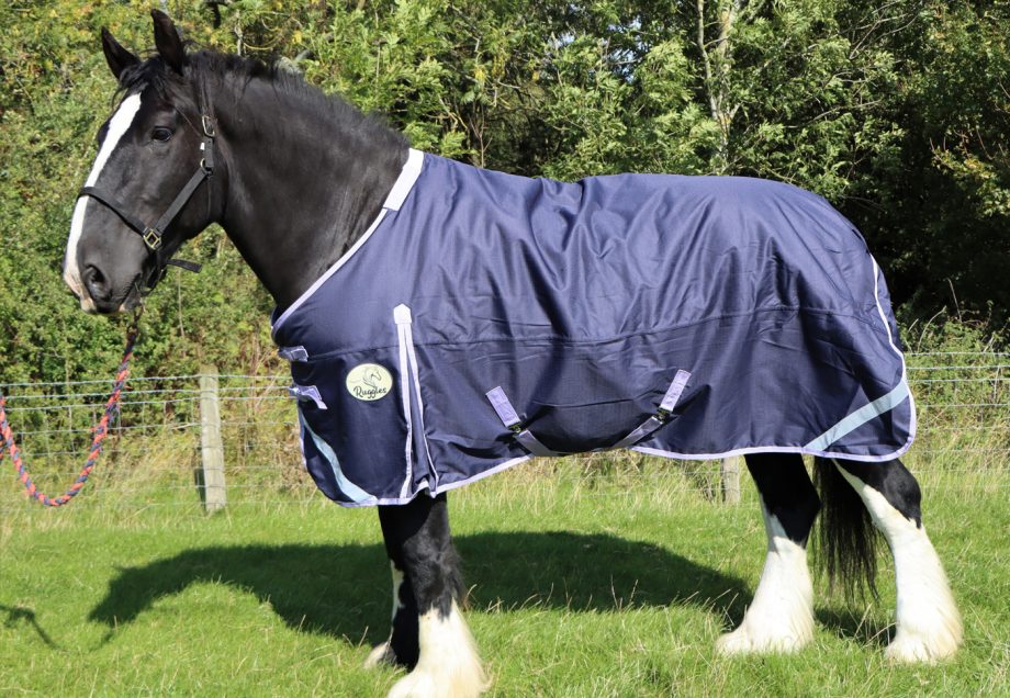 Ruggles Horse Rugs Horse & Hound