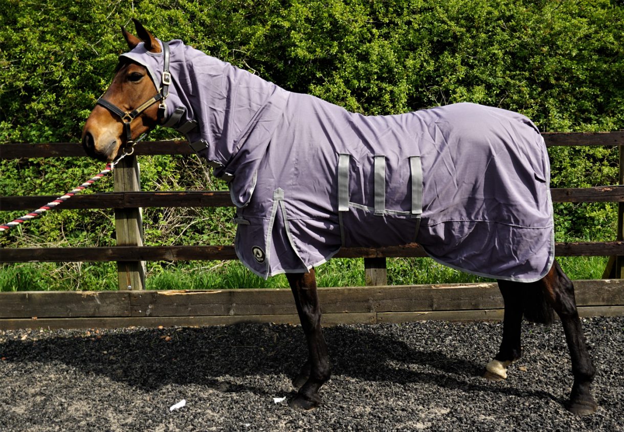Ruggles Horse Rugs Horse & Hound