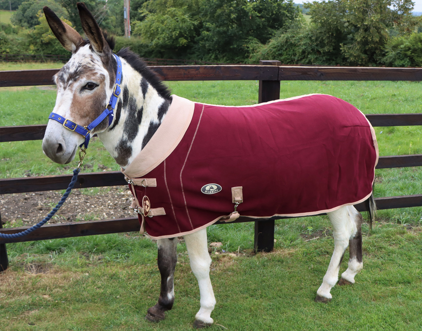 Image-7-Double-Bonded-Fleece-Rug_1400x788