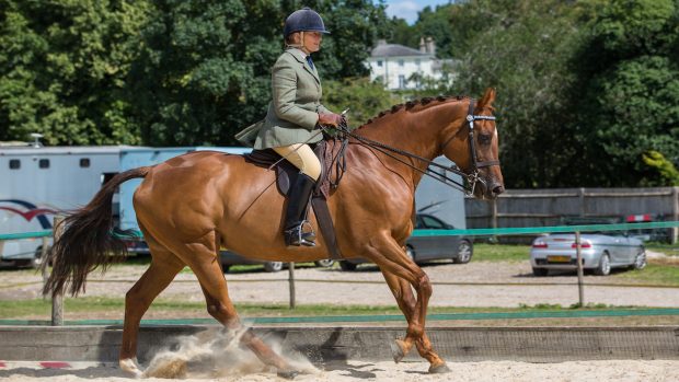 Mumtaz Begum won during the RoR online championship show