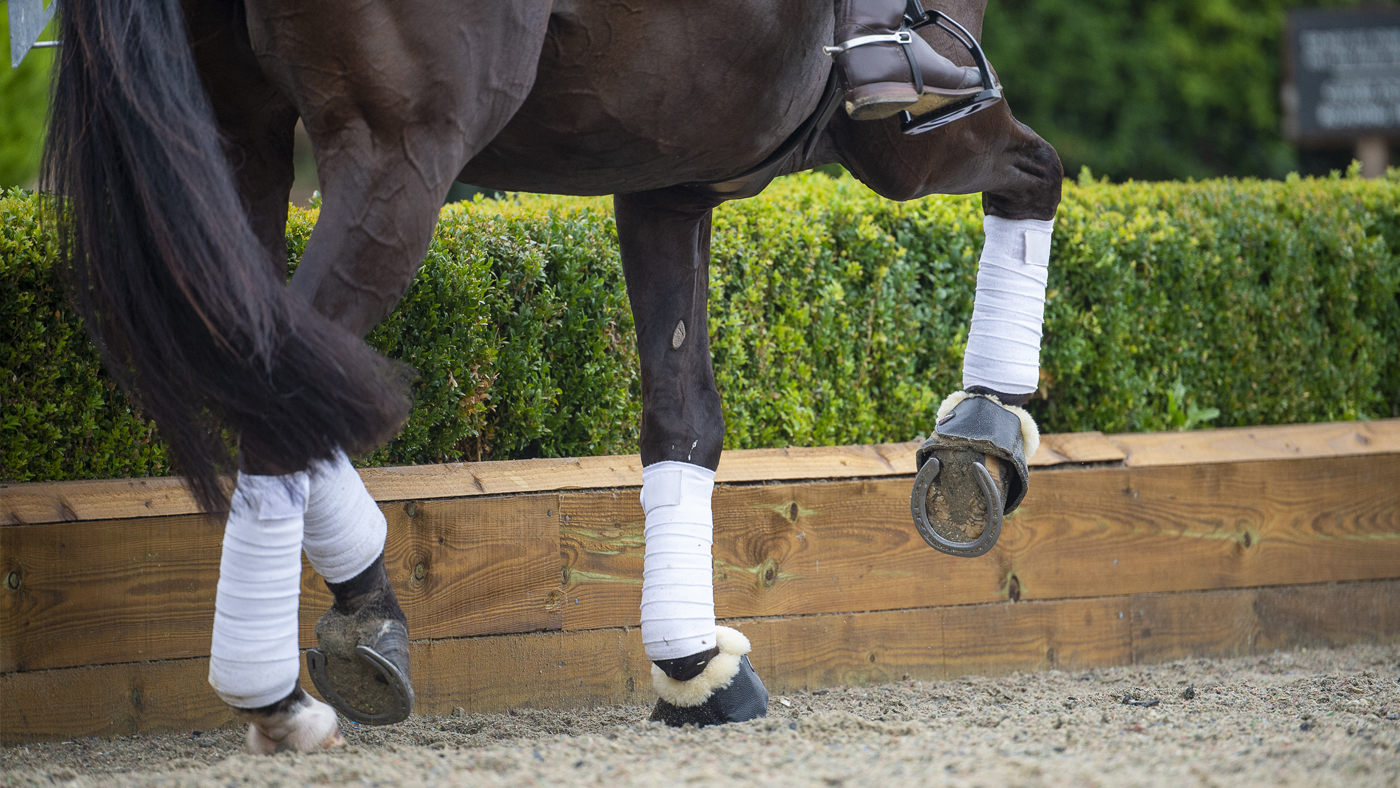 NAF-Veteran-joints-Socks