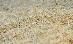 Nedz-Beds-Hay-image-1400x788