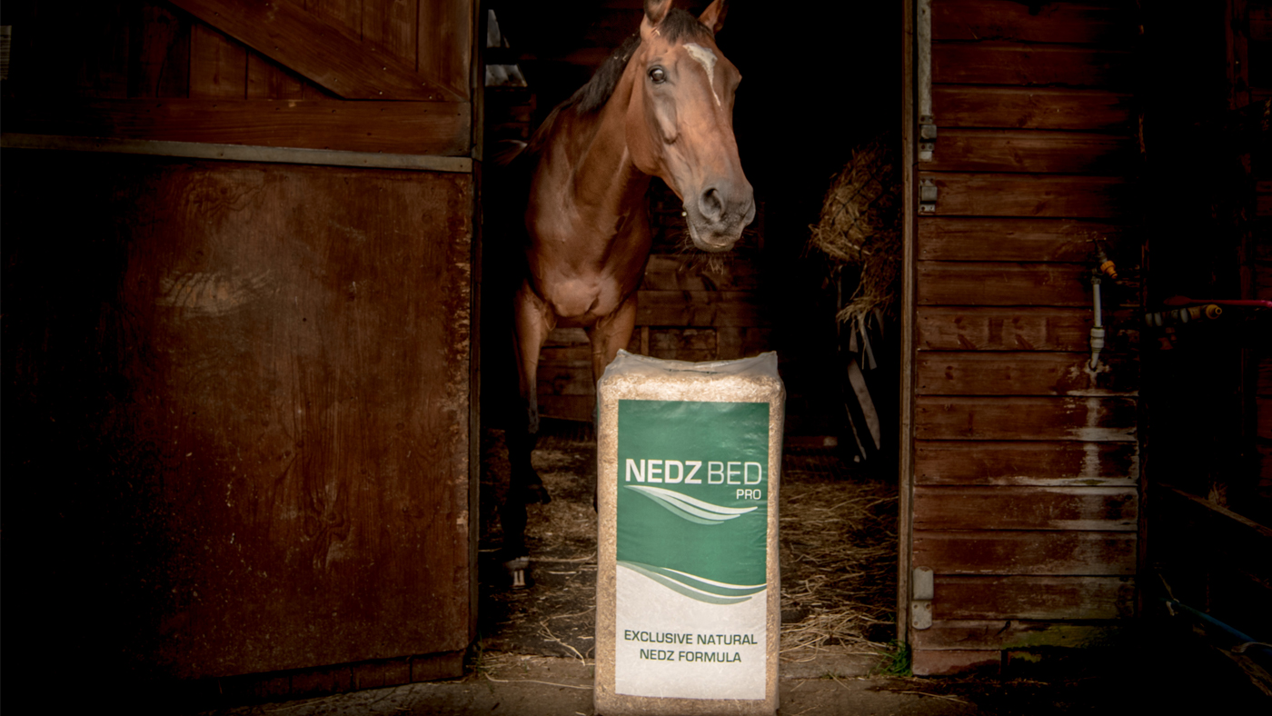 Nedz-Beds-Hero-1400x788