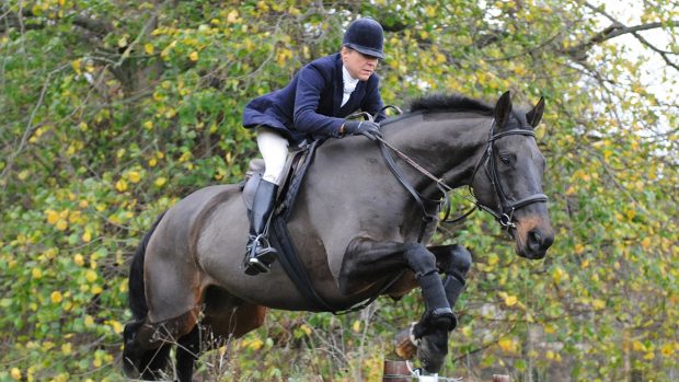 Nicky Hanbury How to teach a horse to jump a hedge
