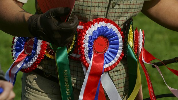 showing podcasts rosettes
