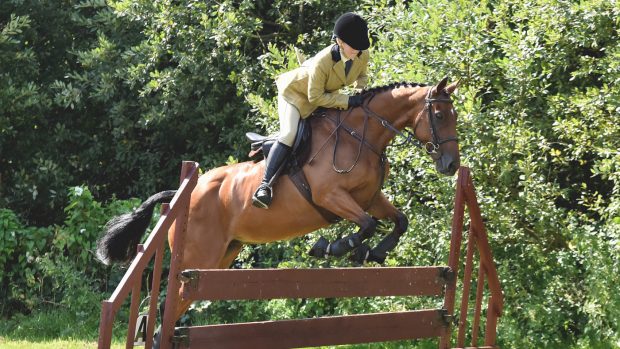 Petition for Sindy's law