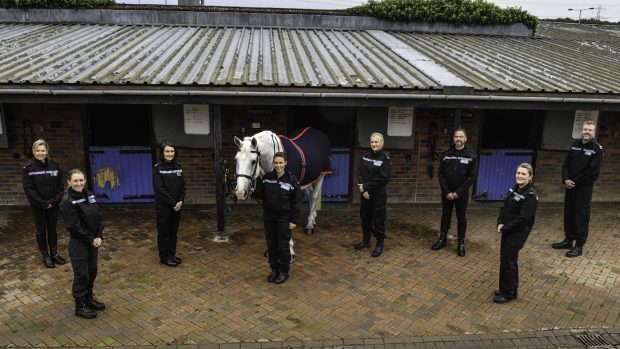 Retired police horse Breeze