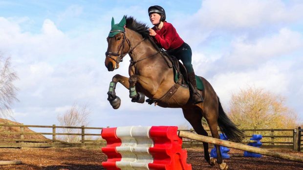 Horse rider injured in road incident