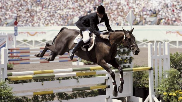 15 famous horses in history – and their incredible stories