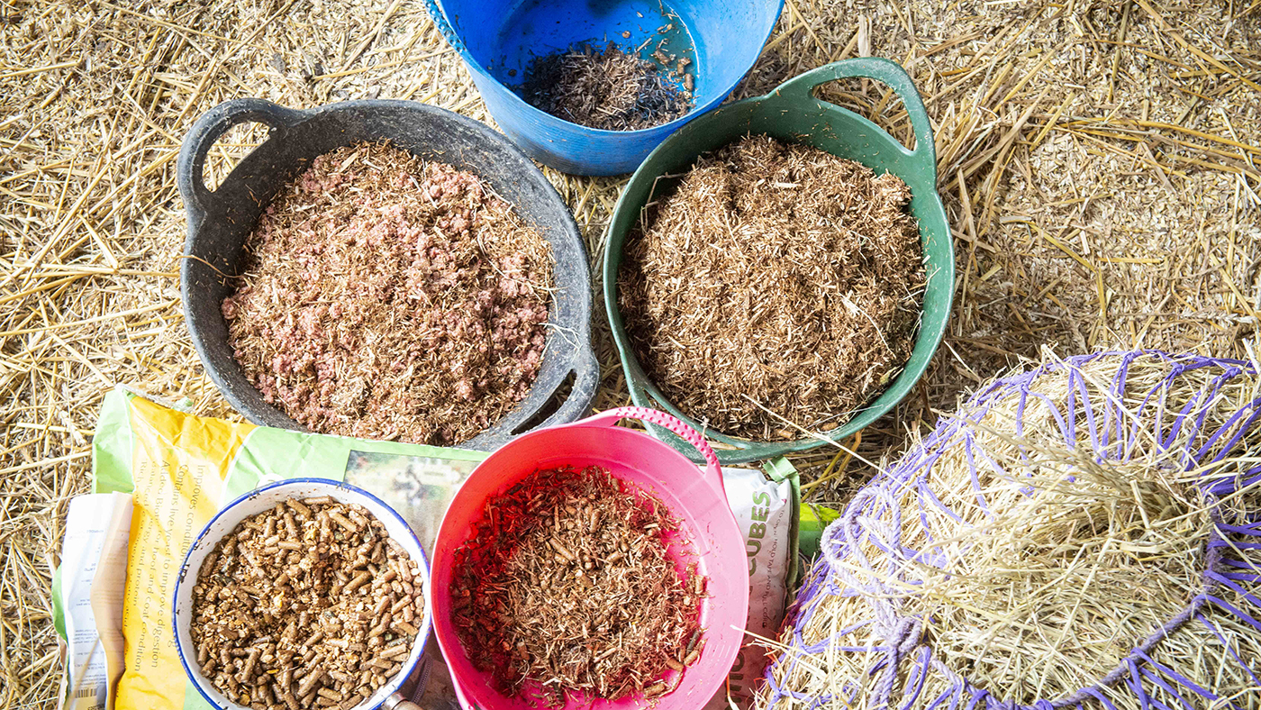 Winter feeding How to save on horse feed without skimping *H&H Plus