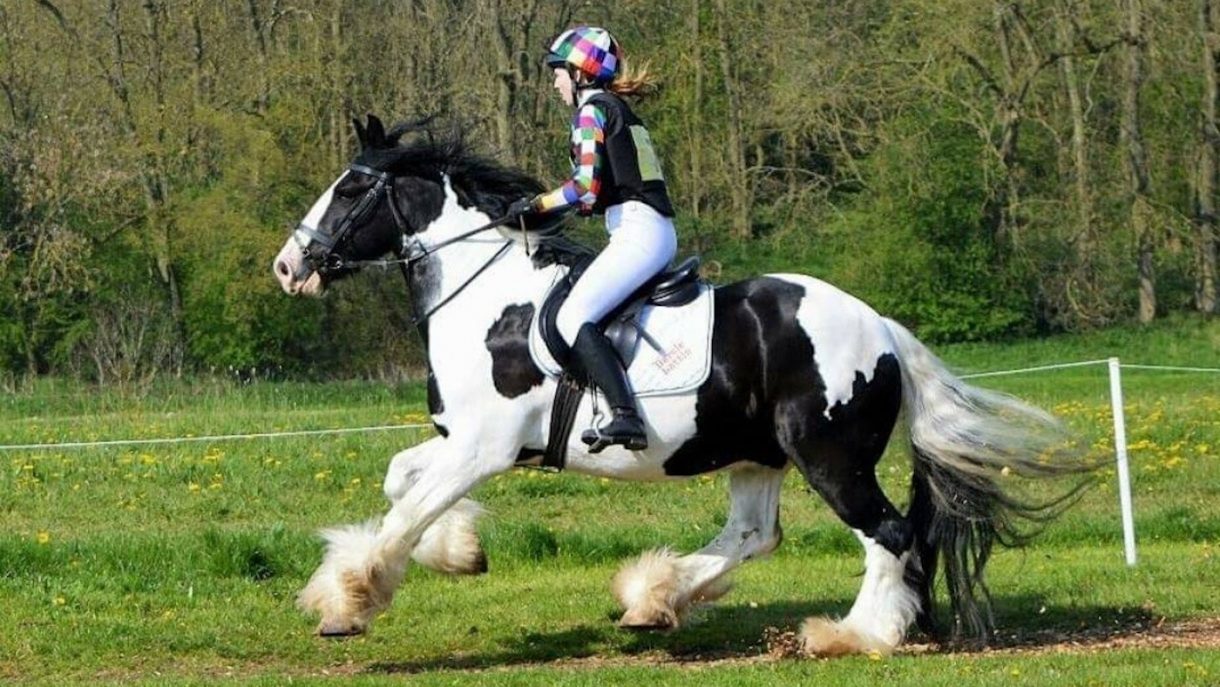 Best body protectors for horse riding Horse & Hound