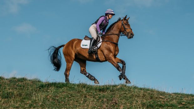 Dengie-Horse-Feeding-for-condition-Hero_1400x788