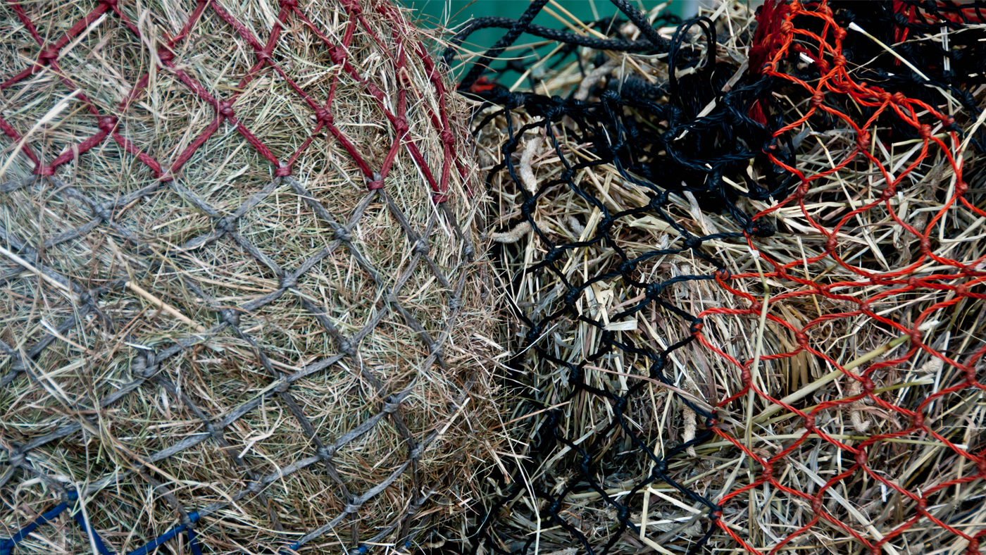 Haynet_1400x788