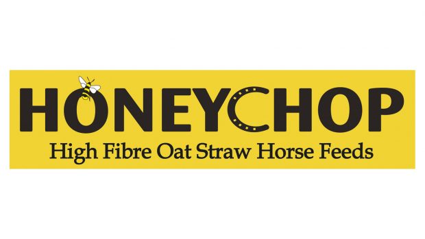 HoneyChop Logo