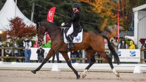 Pau Horse Trials 2020 dressage results: Laura Collett and London 52 take the lead