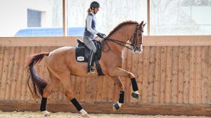 Laura Tomlinson training tips AAA with Laura Tomlinson (with her second horse during the shoot) at her yard; Cranmore Farm, near Tetbury in Gloucestershire in the UK, on the 17th March 2020