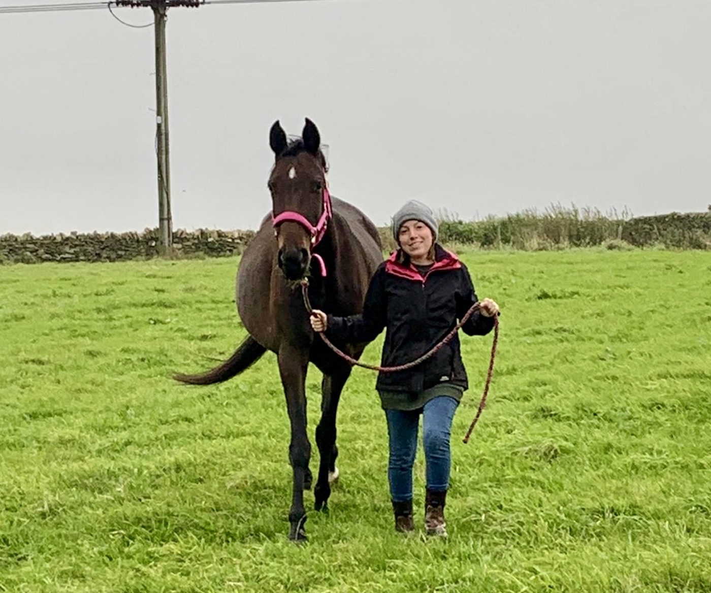 Horse rescued by RSPCA