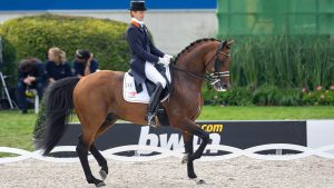 Edward Gal riding KWPN stallion Lingh at 2006 World Equestrian Games in Aachen.