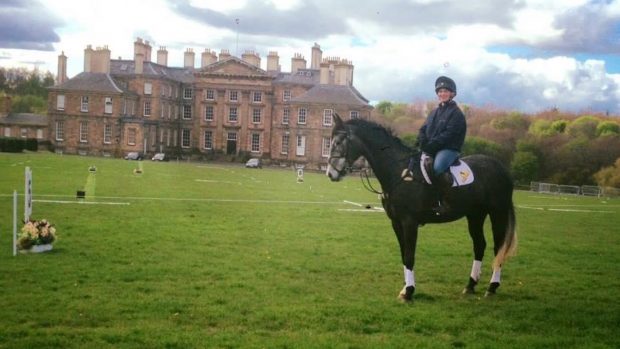 Grass sickness vet fundraiser