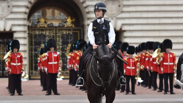 Black beauties retire