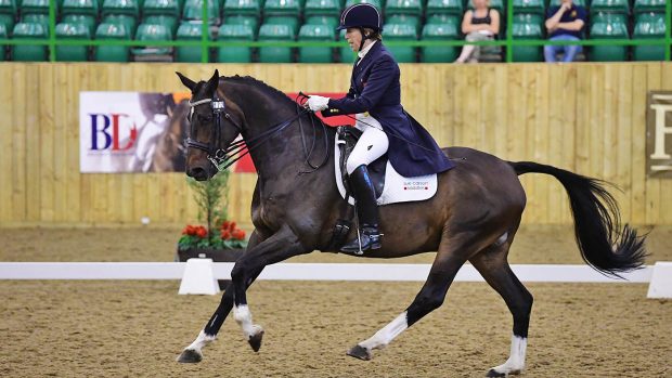Pammy Hutton riding Belmondo II