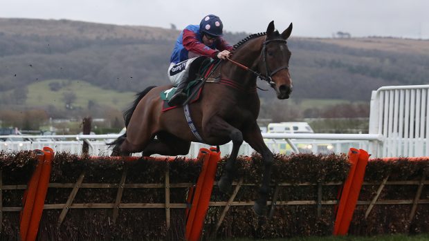 National Hunt horses to follow 2020/21