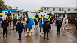 Harry and Meghan’s wedding police escort horses