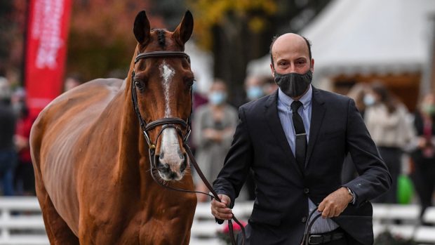 Tim Price and Ringwood Sky Boy at the Pau Horse Trials first trot-up 2020