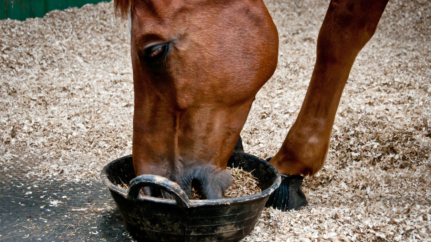 What-about-the-bucket-Feed_1400x788