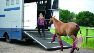 Horse loading into a horsebox