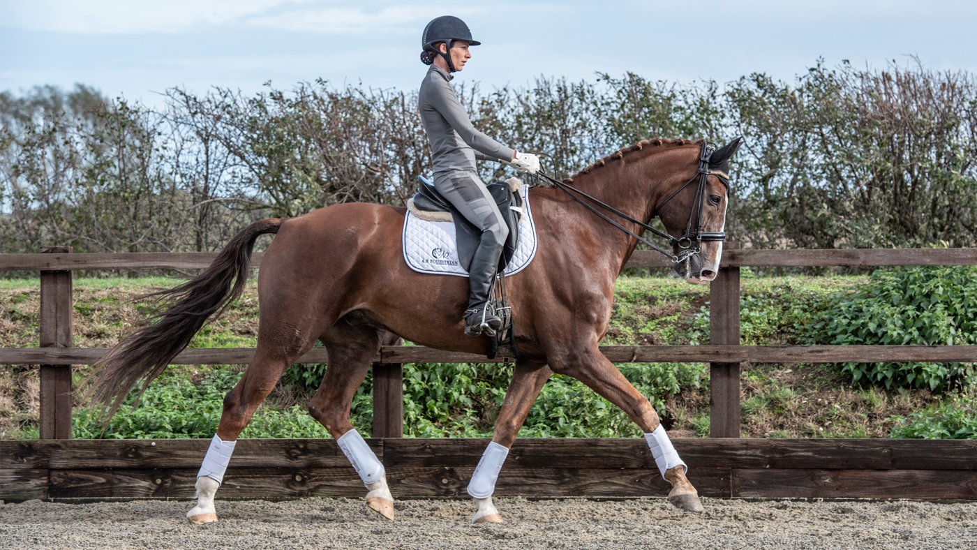 AR-Equestrian_Grey_1400x788