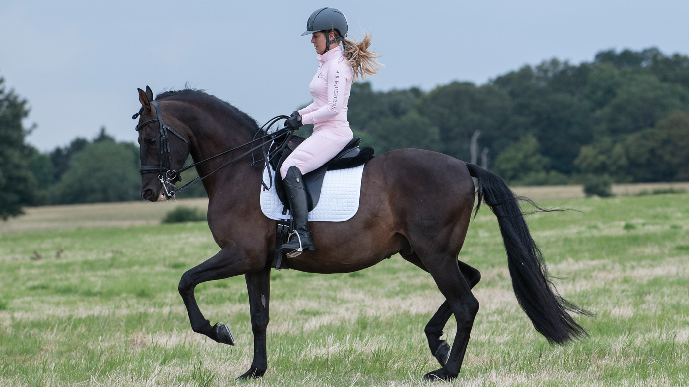 AR-Equestrian_Pink_1400x788