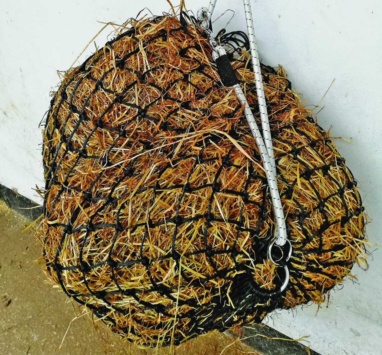 Horsey christmas presents cheep