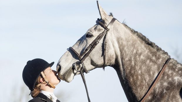Harriet Fairhurst and horse Hazel. show cover, kissing horse, bonding with horse,cuddle,rosette,showing head,grey horse,hunter