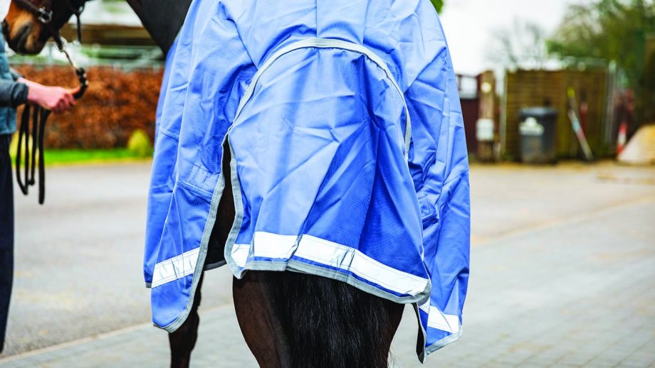 Derby House Elite detach-a-neck turnout review