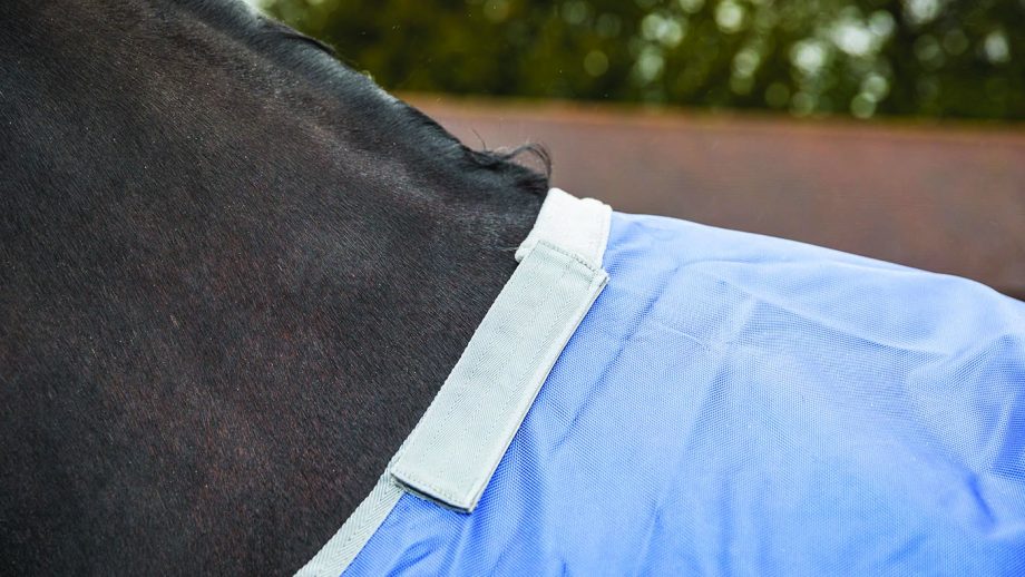 Derby House Elite detach-a-neck turnout review