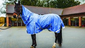 Derby House Elite detach-a-neck turnout review