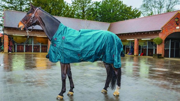 how to fit a horse rug