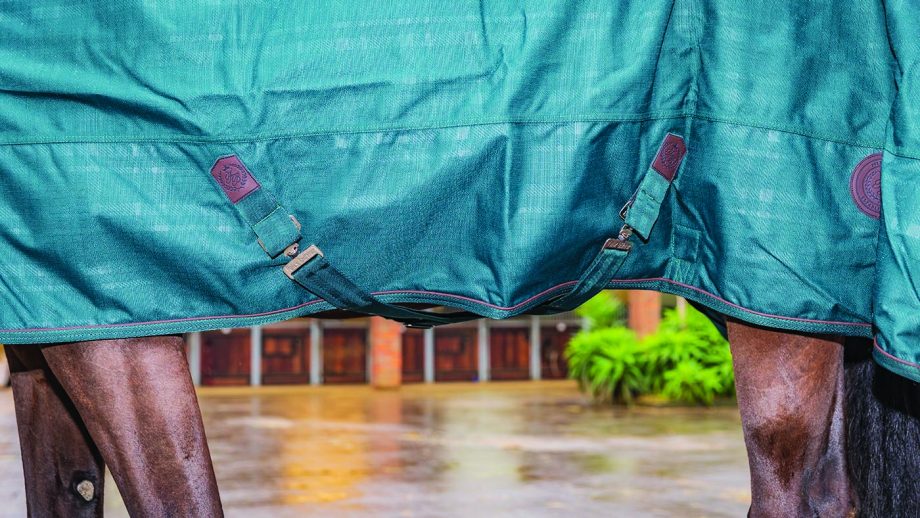 Felix Bühler Timeless Elegance high-neck turnout rug review