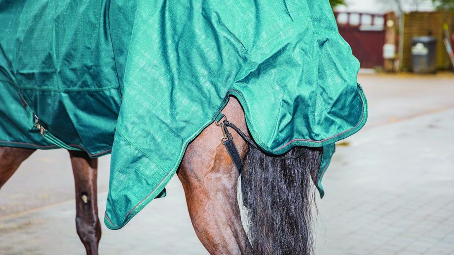 Felix Bühler Timeless Elegance high-neck turnout rug review