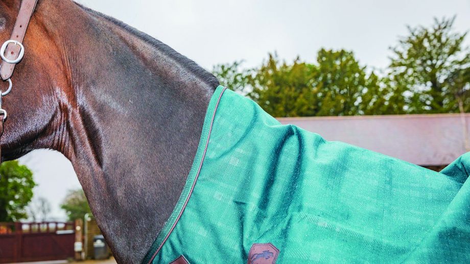 Felix Bühler Timeless Elegance high-neck turnout rug review