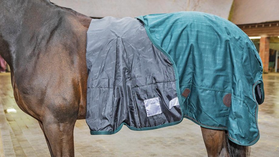 Felix Bühler Timeless Elegance high-neck turnout rug review