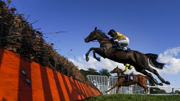 sport winter survival package