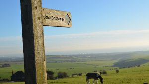 Public bridleway sign on the Sussex Southdowns in England. Image shot in mid December using Nikon D5100 and prime lens.